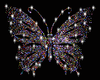 Schmetterling bunt Butterfly Strass Bügelbild12 Hotfix Applikation