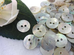 Buttons 10mm mother of pearl 10 pieces silver round