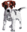 Dog Boxer Sequins Application Patch 04