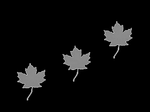 3x Blätter reflektierendes Bügelbild 2 Hotfix Applikation