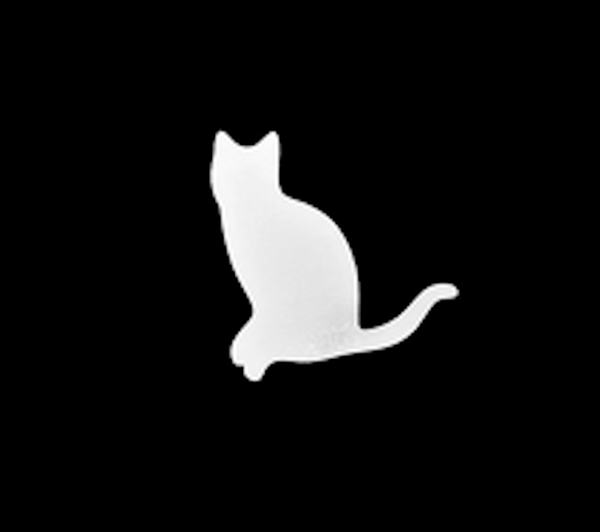 Katze cat reflektierendes Bügelbild 1 Hotfix Applikation