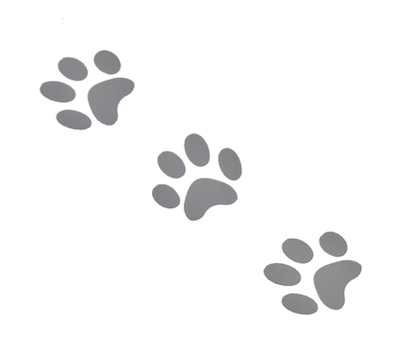 3 paws 24 mm reflective iron-on picture cheap